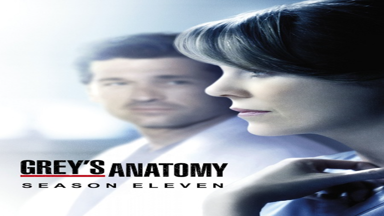 مسلسل Grey’s Anatomy الموسم 13 الحلقة 13 مترجمة كاملة HD